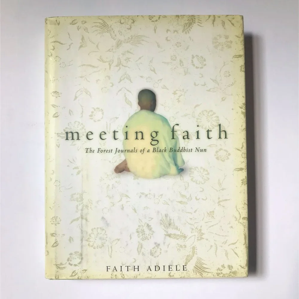 Meeting Faith by Faith Adiele